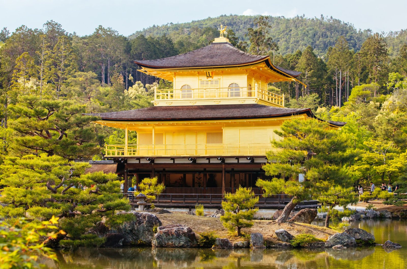 The Golden Pavilion, Or Kinkakuji Temple, Surrounded By Lush Greenery And Water In Kyoto, Japan